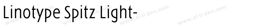 Linotype Spitz Light字体转换